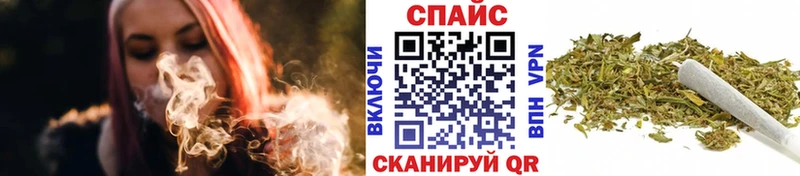 shop телеграм  Кириллов  БУТИРАТ буратино 