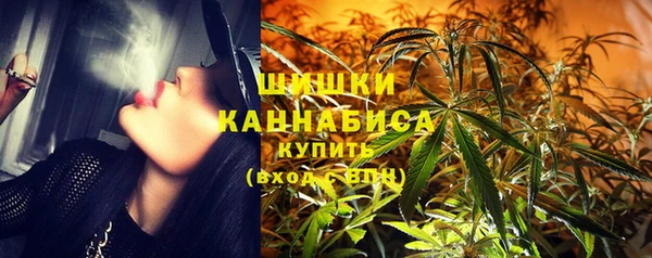 твердый Ельня