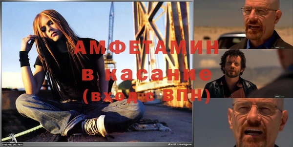 твердый Ельня