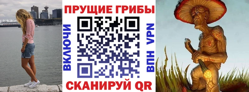Псилоцибиновые грибы ЛСД Кириллов